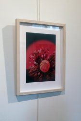 Exposition "Non essentiel" - Bolbec - été 2021