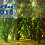 2015 - Calendriers Pombao