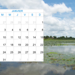 2012 - Calendriers Pombao