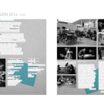 2014 - Bilan d'activités AMH