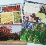 2012-15 - Calendriers Pombao